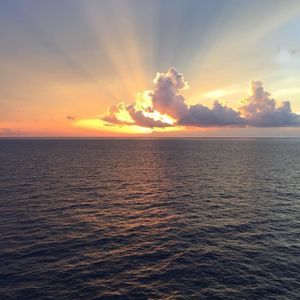 Meet your Posher, Lesley